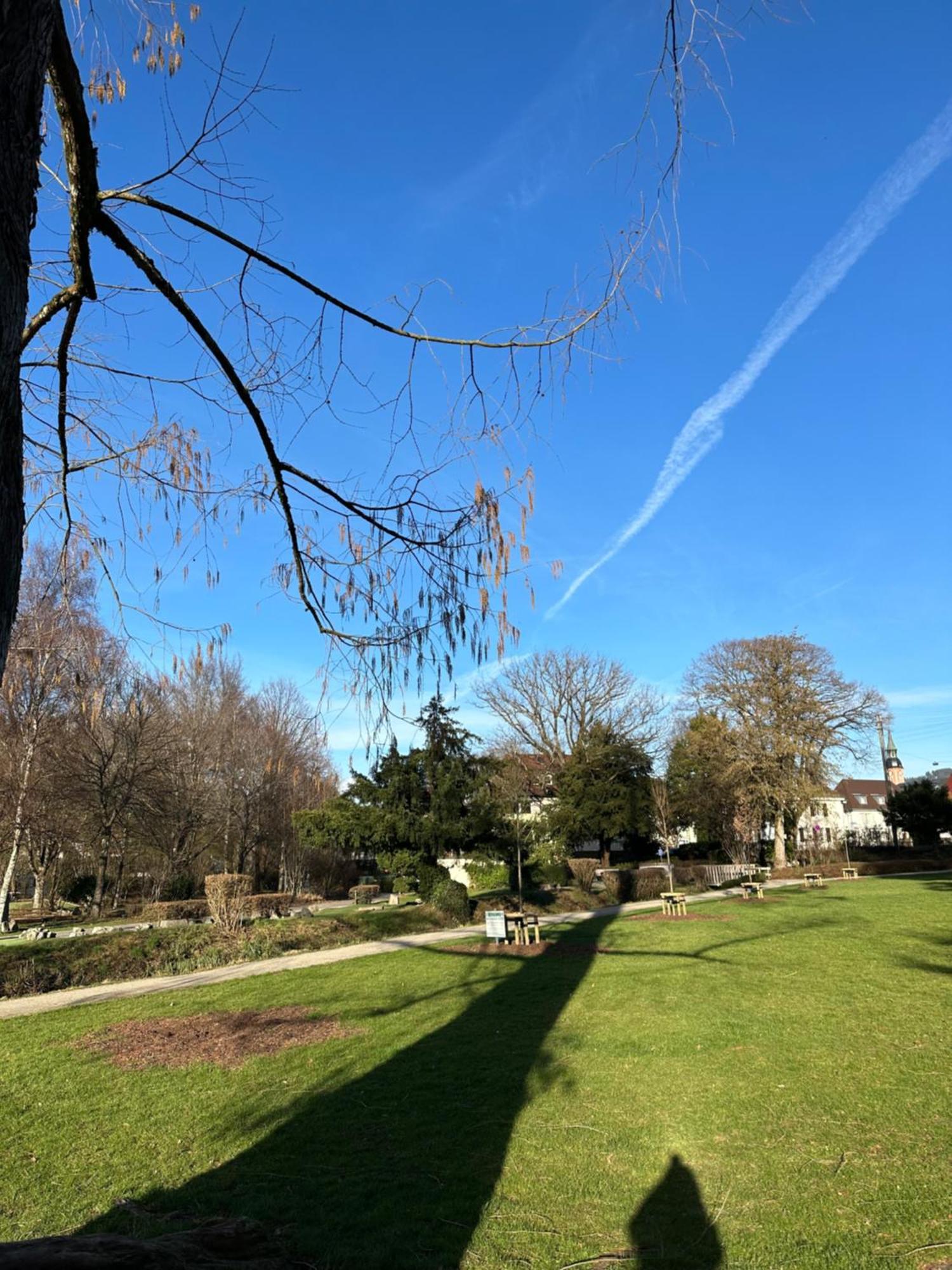 Fewo “Ruhige Momente” In Waldkirch Esterno foto