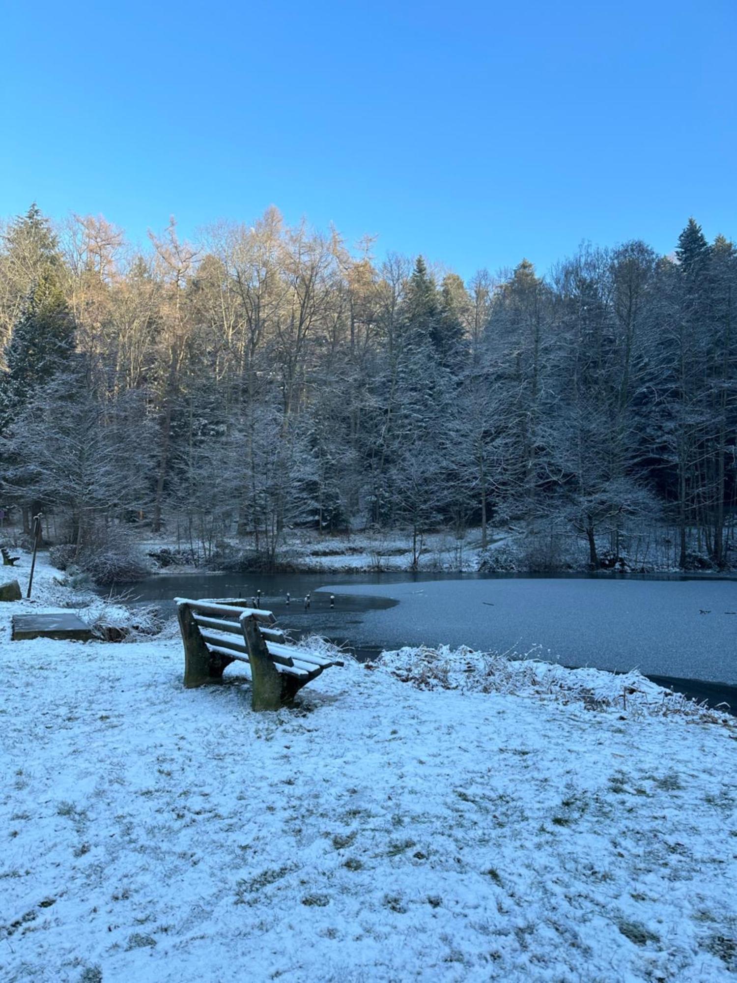 Fewo “Ruhige Momente” In Waldkirch Esterno foto
