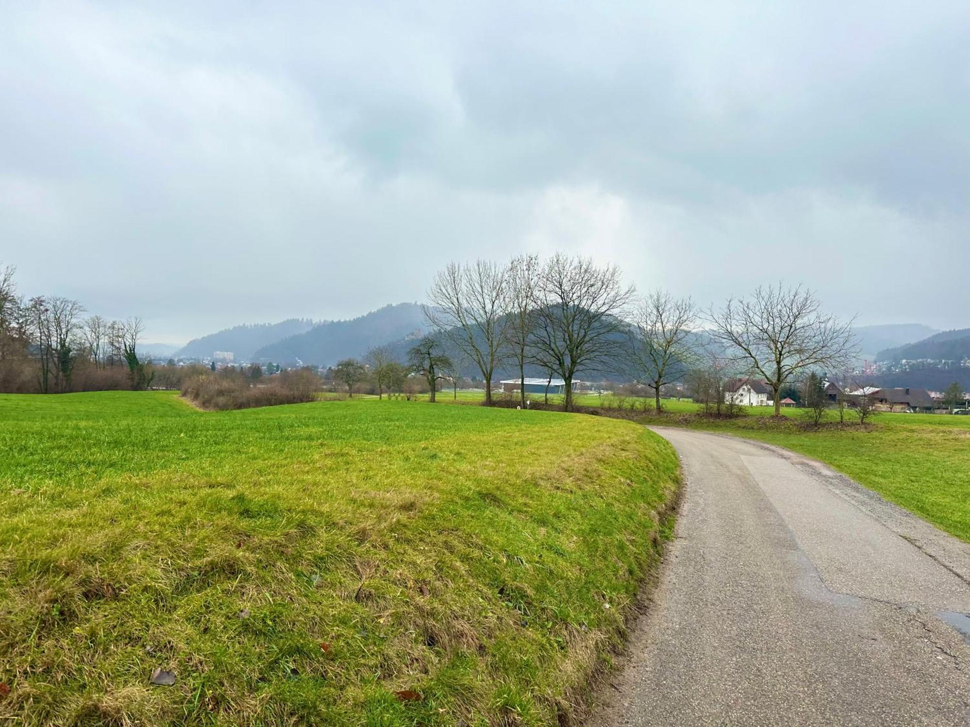 Fewo “Ruhige Momente” In Waldkirch Esterno foto